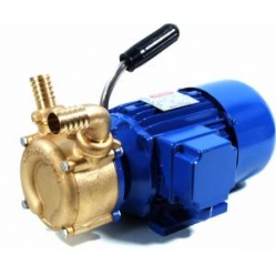 PM25 24v Clean Water Booster Pump