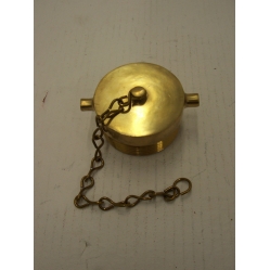 Brass Plug (2�) Male NST