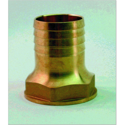 Female Brass Hosetail 1"