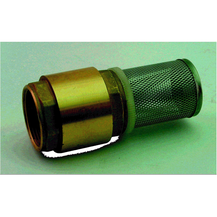 Brass 1.1/4 " Filter Footvalve