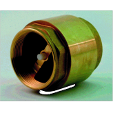 Brass 1 " Non Return Valve