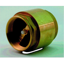 Brass 2" Non Return Valve