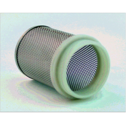 Screw In Strainer 2"