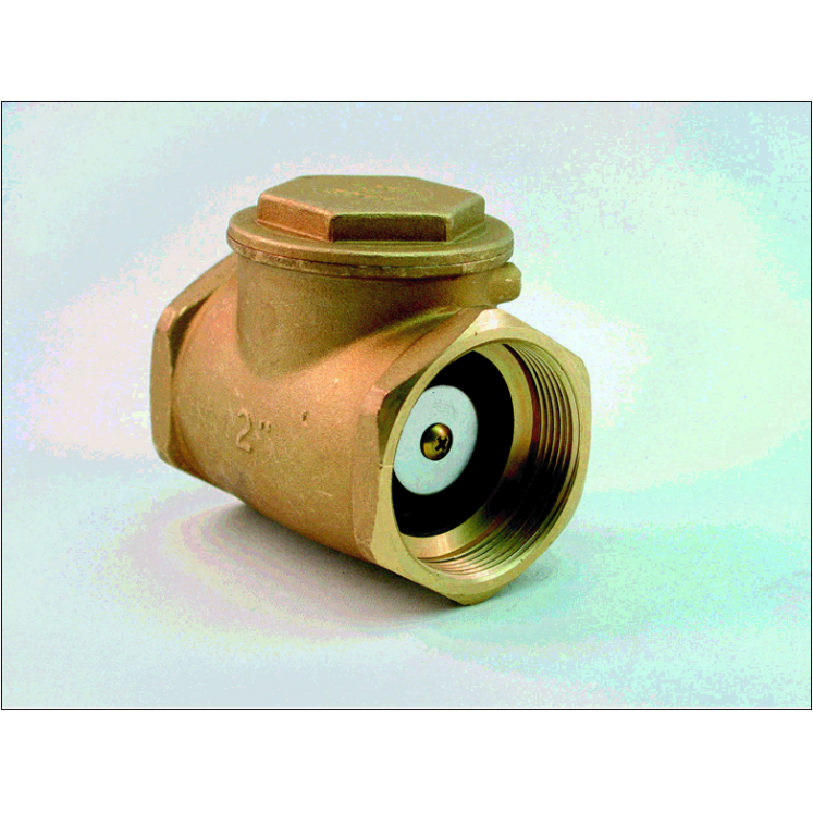Swing Check Valve 3"