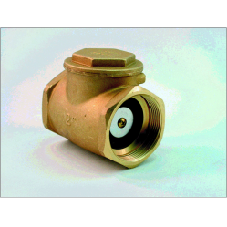 Swing Check Valve 6"