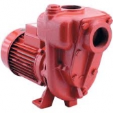 GMP B2KQ-A RED EAEA (was EB49) Fuel Oil Red High Volume Diesel Transfer Pump 110v