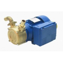 PT70 Self Priming Bronze Reversing pump 230V