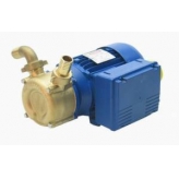 PT70 Self Priming Bronze Reversing pump 230V
