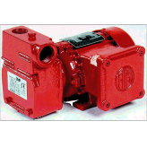 Flame Proof Fuel Transfer Pumps