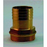 Male Brass Hosetails