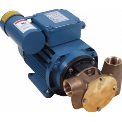 Jabsco Utility 20 3/4' 230V progressive cavity pump