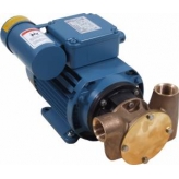 Jabsco Utility 40 1' 230V progressive cavity pump