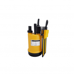 RS 100 110v Auto Reka Float puddle pump