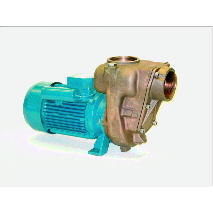 GMP EALE 4" Bronze self priming pump 415V