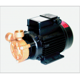 PB100 Peripheral Turbine Pump 415v