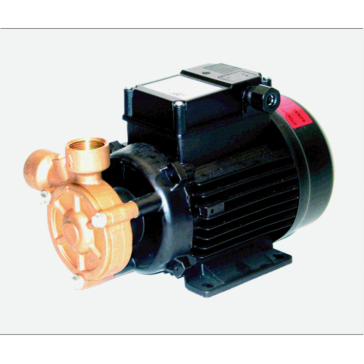 PB100 Peripheral Turbine Pump 415v