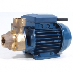 Pentax PM45 BR Peripheral Turbine Pump 110v