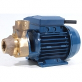 Pentax PM45 BR Peripheral Turbine Pump 110v