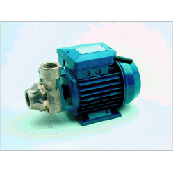 Pentax PM45 Peripheral Turbine Pump 230v