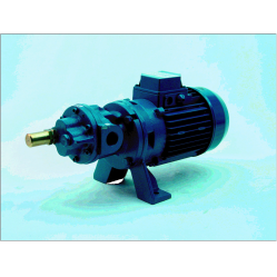 Gear pump 1500GT-GE22 Three Phase
