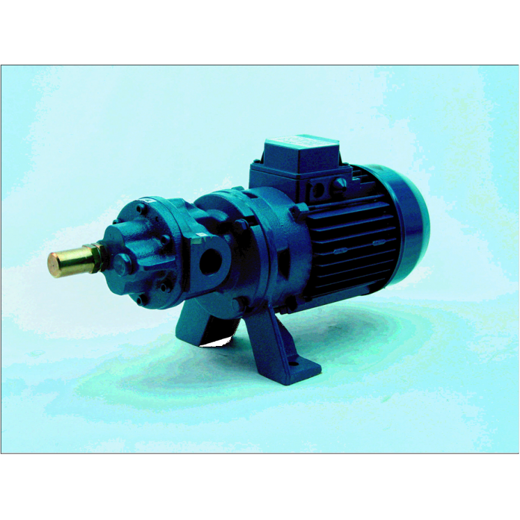 Gear pump 1500GT-GE22 Three Phase