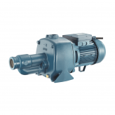 Pentax Cab 150 cast iron self priming pump 230v