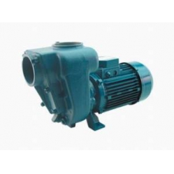 GMP HGM-2 B2KQ/A EA3C self priming pump 110v