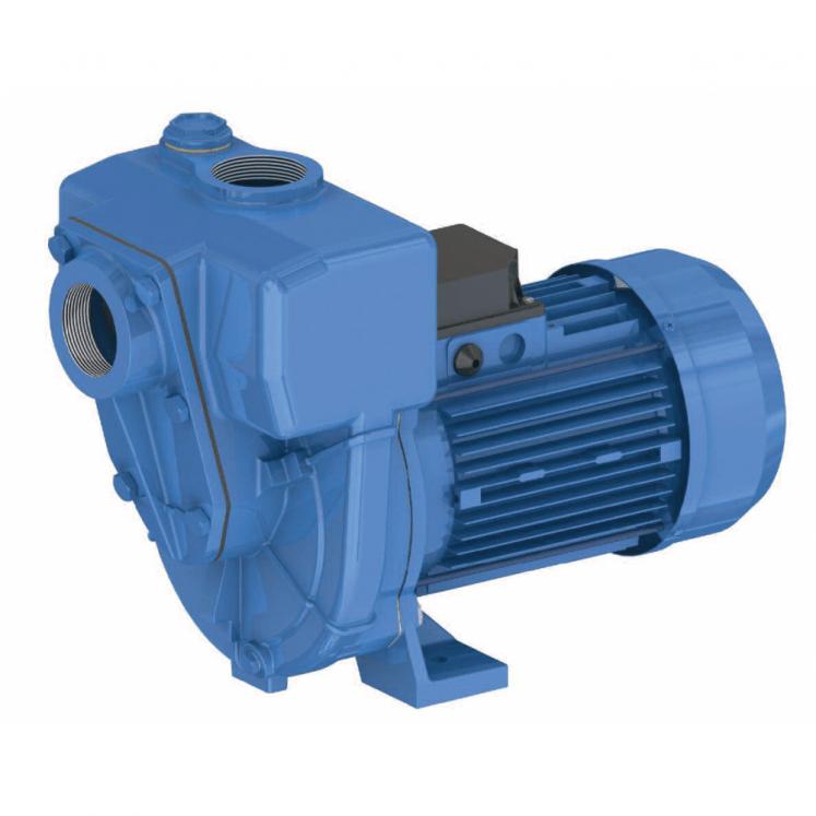 GMP Cast Iron Self Priming High Head Pump - 2" G2TMK-A M EAEN 230v